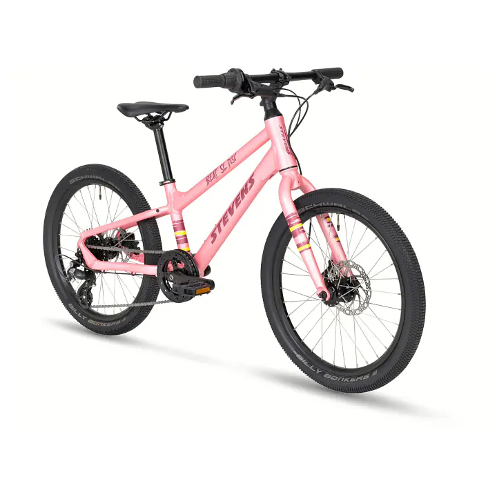 STEVENS Beat SL Disc 20 Wild Rose