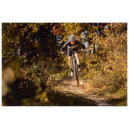 PELLS Duke FS 3 prodej kol cykloservis Jevany