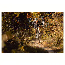 PELLS Duke FS 1 prodej kol cykloservis Jevany