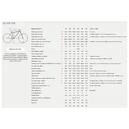 STEVENS E-Agnello 7.8.1 Ash Grey prodej elektrokol Praha Jevany cykloservis
